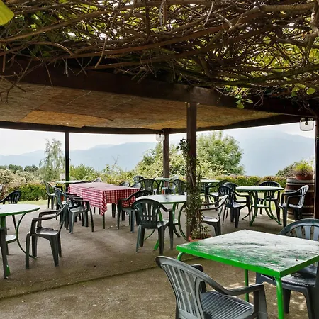 Casa vacanze Unique Experience In The Greenery Verbania