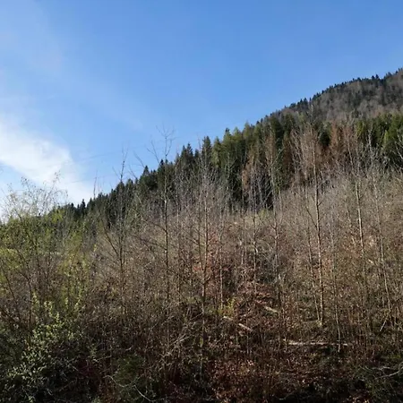 펜션 In With Views *
